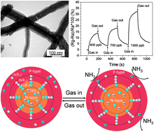 Graphical abstract: Synergic effect within n-type inorganic–p-type organic nano-hybrids in gas sensors