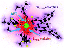 Graphical abstract: Novel erbium(iii) fluorinated β-diketonate complexes with N,N-donors for optoelectronics: from synthesis to solution-processed devices