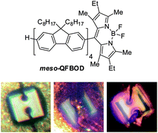 Graphical abstract: Linear oligofluorene-BODIPY structures for fluorescence applications