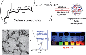 Graphical abstract: Cadmium deoxycholate: a new and efficient precursor for highly luminescent CdSe nanocrystals