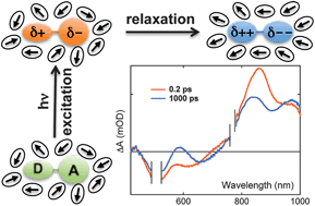 Graphical abstract: Charge transfer relaxation in donor–acceptor type conjugated materials
