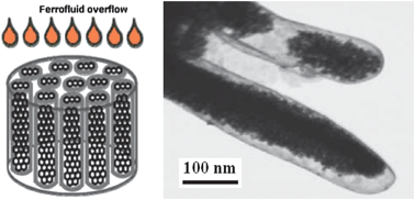 Graphical abstract: Filling carbon nanotubes with magnetic particles