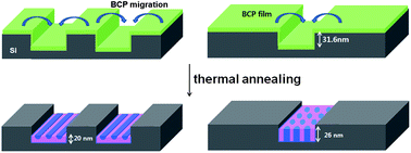 Graphical abstract: Location-controlled parallel and vertical orientation by dewetting-induced block copolymer directed self-assembly