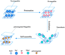 Graphical abstract: Synthesis and visible-light photochromism of a new composite based on magadiite containing polytungstate