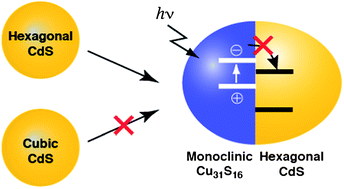 Graphical abstract: Crystal structure-selective formation and carrier dynamics of type-II CdS–Cu31S16 heterodimers