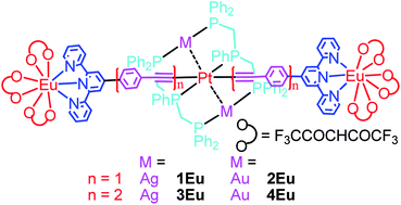 Graphical abstract: Sensitized EuIII luminescence through energy transfer from PtM2 (M = Ag or Au) alkynyl chromophores in PtM2Eu2 heteropentanuclear complexes