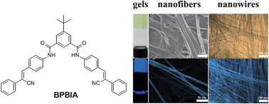 Graphical abstract: Supramolecular organogels and nanowires based on a V-shaped cyanostilbene amide derivative with aggregation-induced emission (AIE) properties