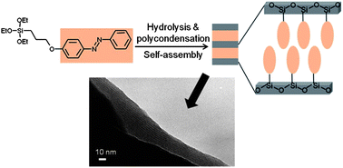 Graphical abstract: Synthesis of ordered photoresponsive azobenzene–siloxane hybrids by self-assembly