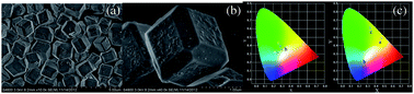 Graphical abstract: A novel Sc3+-containing fluoride host material for down- and up-conversion luminescence