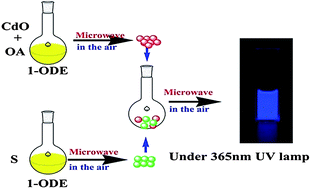 Graphical abstract: One-pot synthesis of high quality CdS nanocrystals by microwave irradiation in an organic phase: a green route for mass production