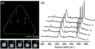 Graphical abstract: A silver nanocube on a gold microplate as a well-defined and highly active substrate for SERS detection