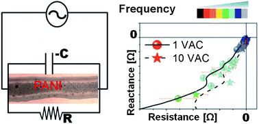 Graphical abstract: Synthesis of polyaniline-based inks, doping thereof and test device printing towards electronic applications