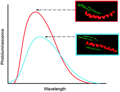 Graphical abstract: Polymer–peptide templates for controlling electronic interactions of organic chromophores