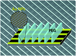 Graphical abstract: Hybrid hierarchical patterns of gold nanoparticles and poly(ethylene glycol) microstructures