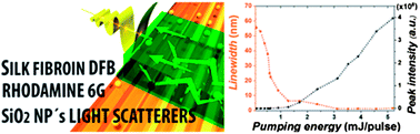 Graphical abstract: Silk fibroin biopolymer films as efficient hosts for DFB laser operation