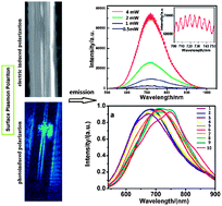 Graphical abstract: Fe doped silicon oxynitride microwires: surface plasmon polariton enhanced fluorescence and tunable long-wavelength red-emission