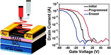 Graphical abstract: Nonvolatile organic field effect transistor memory devices using one-dimensional aligned electrospun nanofiber channels of semiconducting polymers