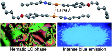 Graphical abstract: Photoluminescent properties of liquid crystalline gold(i) isocyanide complexes with a rod-like molecular structure