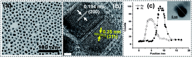 Graphical abstract: Synthesis and magnetic properties of hybrid nanostructures of Pt–FexOy