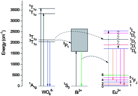 Graphical abstract: Energy transfer from Bi3+ to Eu3+ triggers exceptional long-wavelength excitation band in ZnWO4:Bi3+, Eu3+ phosphors