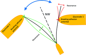 Graphical abstract: An AC-assisted single-nanowire electromechanical switch