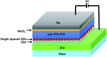 Graphical abstract: Inverted CdSe–ZnS quantum dots light-emitting diode using low-work function organic material polyethylenimine ethoxylated