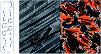 Graphical abstract: Board-like dibenzo[fg,op]naphthacenes: synthesis, characterization, self-assembly, and liquid crystallinity