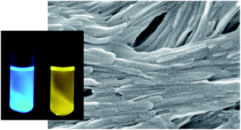 Graphical abstract: Gelling and fluorescent mesogens of quinoxaline analogs