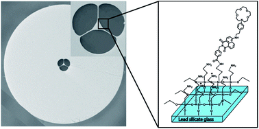 Graphical abstract: Towards microstructured optical fibre sensors: surface analysis of silanised lead silicate glass