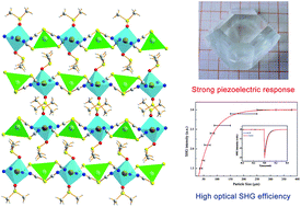 Graphical abstract: Characterization and strong piezoelectric response of an organometallic nonlinear optical crystal: CdHg(SCN)4(C2H6SO)2