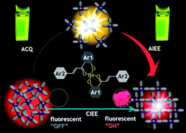 Graphical abstract: Morphology-dependent fluorescence ON/OFF of a beryllium complex: ACQ in amorphous solids, AEE in crystalline powders and the dark/bright fluorescence switch