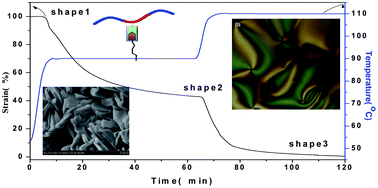 Graphical abstract: Insights into liquid-crystalline shape-memory polyurethane composites based on an amorphous reversible phase and hexadecyloxybenzoic acid