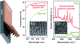 Graphical abstract: Soft biomimetic tapered nanostructures for large-area antireflective surfaces and SERS sensing