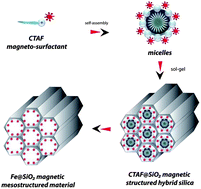 Graphical abstract: Nanoparticle-free magnetic mesoporous silica with magneto-responsive surfactants