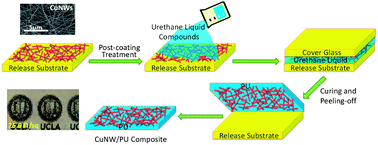 Graphical abstract: An elastomeric transparent composite electrode based on copper nanowires and polyurethane