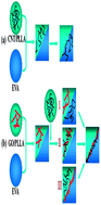 Graphical abstract: Trapping carbon nanotubes at the interface of a polymer blend through adding graphene oxide: a facile strategy to reduce electrical resistivity