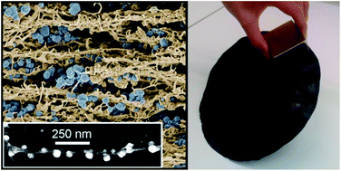 Graphical abstract: Cellulose nanofibers decorated with magnetic nanoparticles – synthesis, structure and use in magnetized high toughness membranes for a prototype loudspeaker