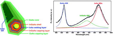 Graphical abstract: Realization of Stranski–Krastanow InAs quantum dots on nanowire-based InGaAs nanoshells