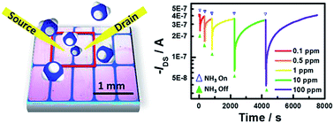 Graphical abstract: Solution-sheared ultrathin films for highly-sensitive ammonia detection using organic thin-film transistors