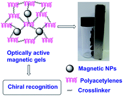 Graphical abstract: Optically active, magnetic gels consisting of helical substituted polyacetylene and Fe3O4 nanoparticles: preparation and chiral recognition ability