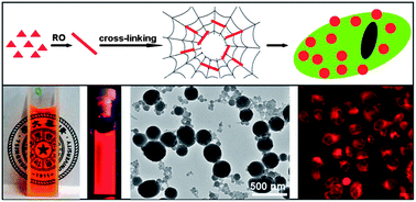 Graphical abstract: Novel biocompatible cross-linked fluorescent polymeric nanoparticles based on an AIE monomer