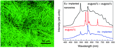 Graphical abstract: Structural and luminescence properties of Eu and Er implanted Bi2O3 nanowires for optoelectronic applications