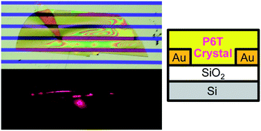 Graphical abstract: Organic single-crystal light-emitting field-effect transistors