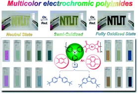 Graphical abstract: Ambipolar, multi-electrochromic polypyromellitimides and polynaphthalimides containing di(tert-butyl)-substituted bis(triarylamine) units