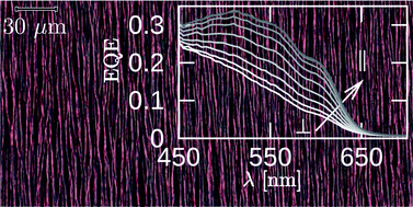 Graphical abstract: Uniaxial macroscopic alignment of conjugated polymer systems by directional crystallization during blade coating