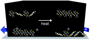 Graphical abstract: Real-time structural evolution at the interface of an organic transistor during thermal annealing