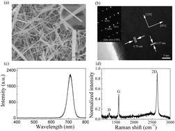 Graphical abstract: Novel graphene–oxide–semiconductor nanowire phototransistors