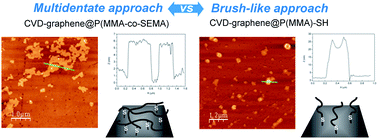 Graphical abstract: Homogenous thin layer coated graphene via one pot reaction with multidentate thiolated PMMAs