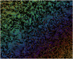 Graphical abstract: Microscopy studies of the nematic NTB phase of 1,11-di-(1′′-cyanobiphenyl-4-yl)undecane