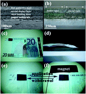 Graphical abstract: Magnetically responsive photonic watermarks on banknotes